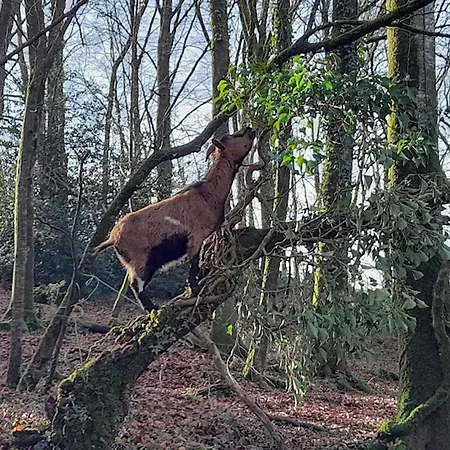 5 Bedroom Awesome In Villedieu-les-poeles Villedieu-les-Poëles