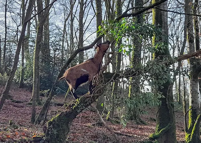 5 Bedroom Awesome In Villedieu-les-poeles Villedieu-les-Poëles